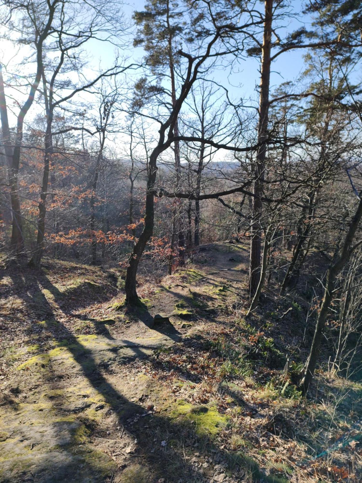 Monte Sleza & Sobotka (Lower Silesia)