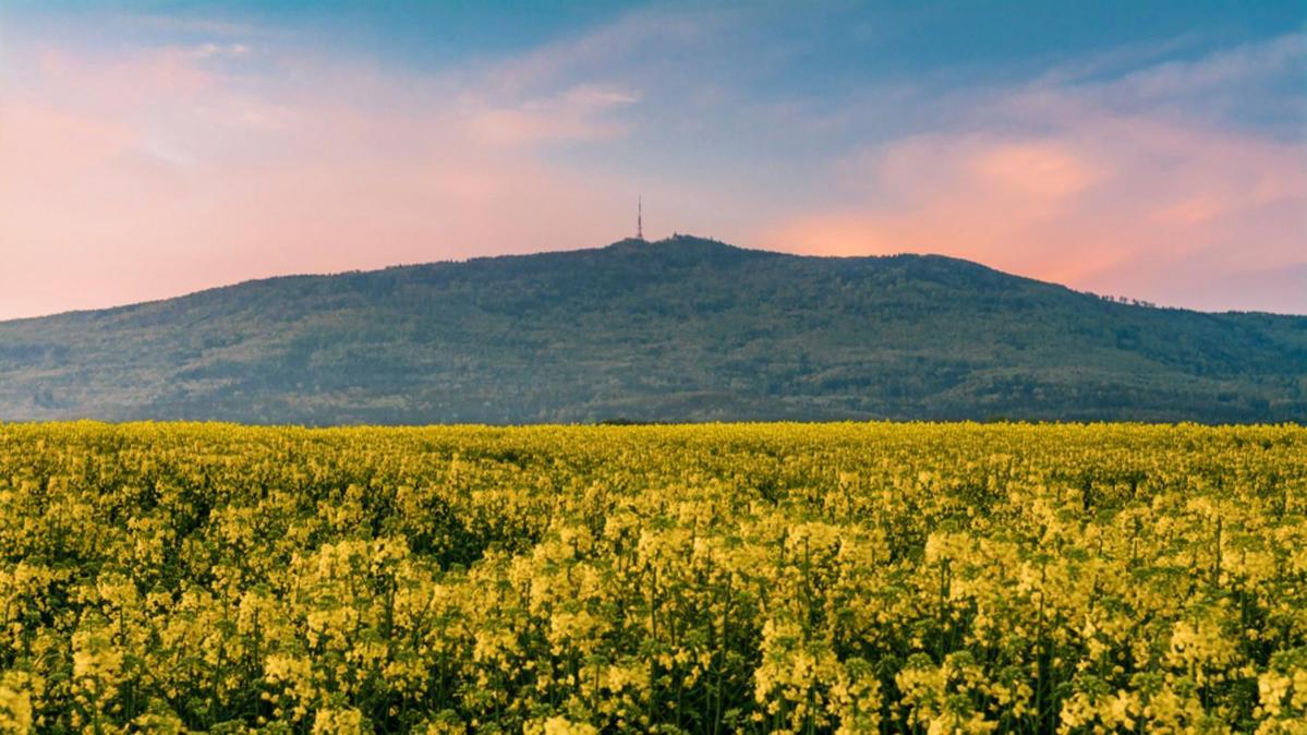 Monte Sleza & * Sobotka (Lower Silesia)